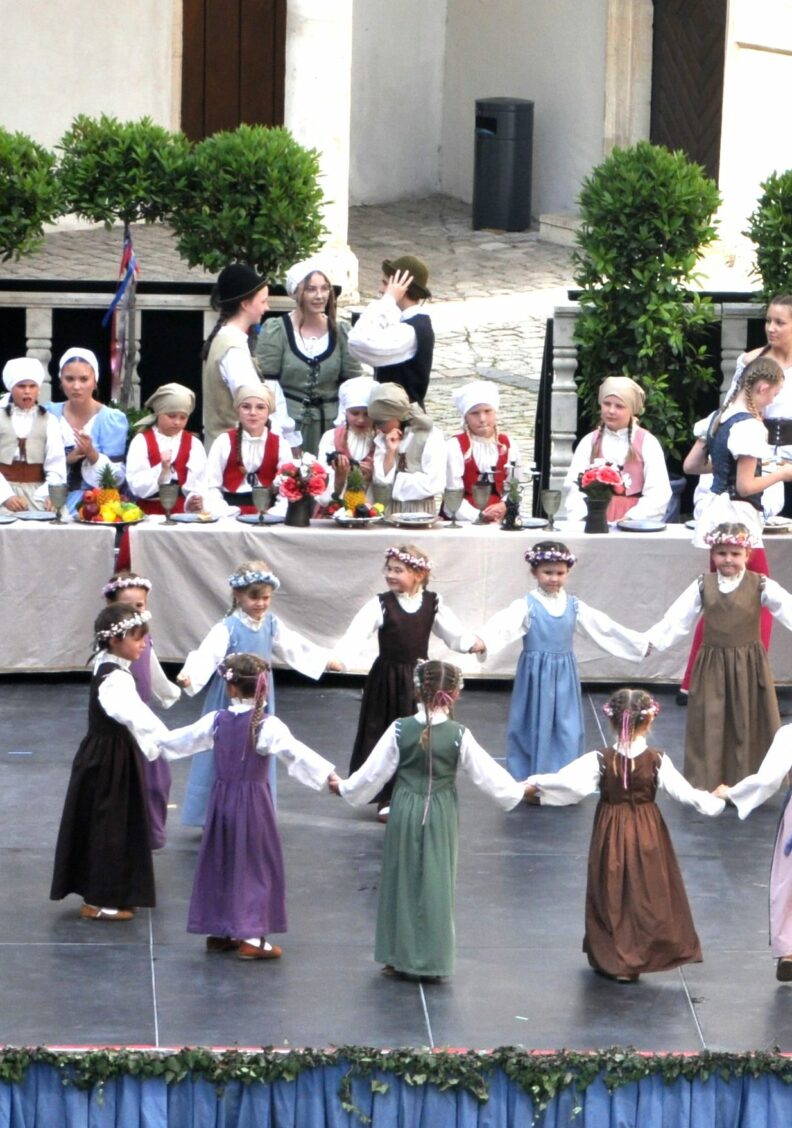 27.Neuburger Schloßfest -kulturelle Höhepunkte