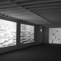Kunstverein Ingolstadt: „Albergo diffuso“ 2: Kunst & Abfrischung in der Theatergalerie