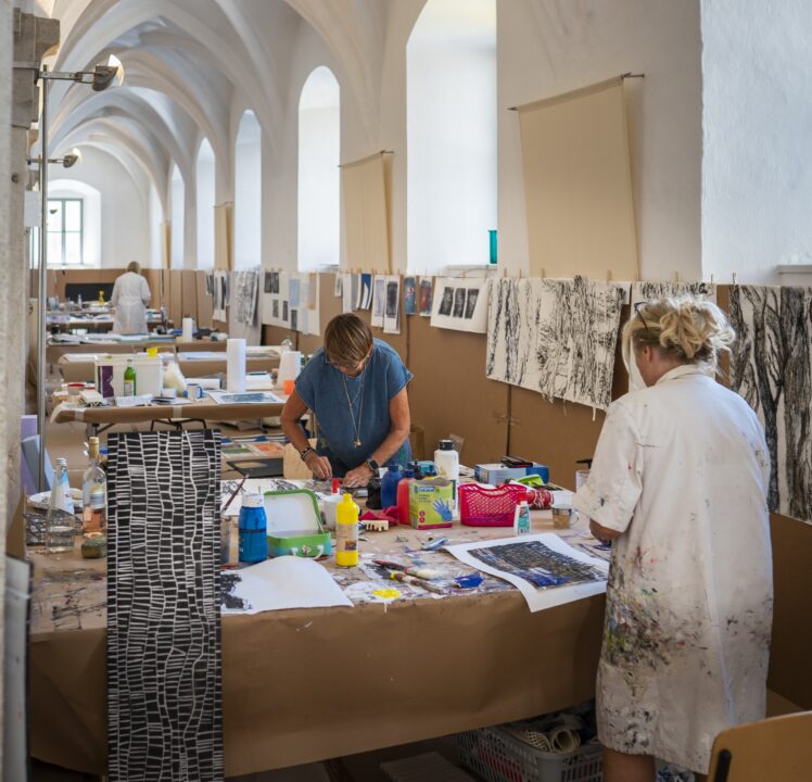 Viele öffentliche Veranstaltungen bei der Neuburger Sommerakademie