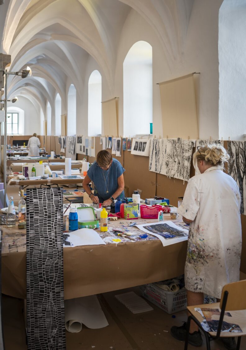 Viele öffentliche Veranstaltungen bei der Neuburger Sommerakademie