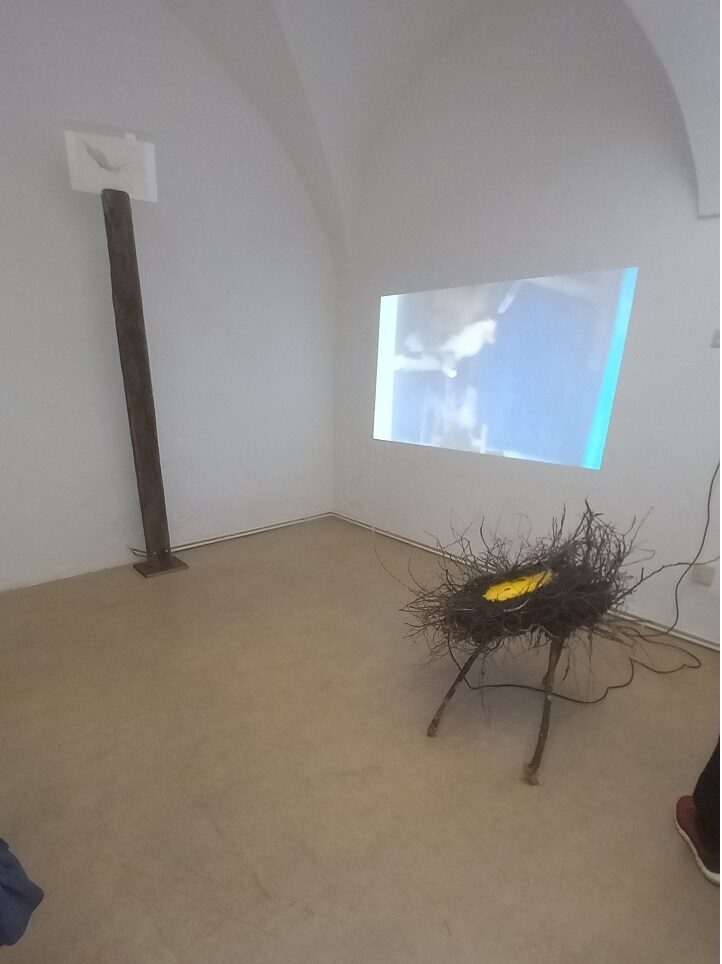Kunstverein: „Albergo diffuso“ 3 im Projektraum T25