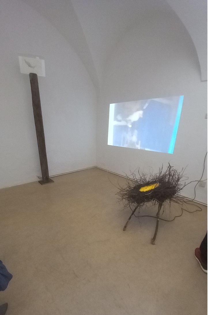Kunstverein: „Albergo diffuso“ 3 im Projektraum T25
