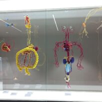 Nacht der Museen: Katharina Sabernigs „Gestrickte Anatomie“ im Dt. Medizinhistorischen Museum