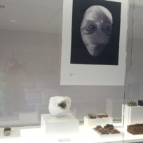 Thomas Neumaiers PräparA(R)TE im Dt. Medizinhistorischen Museum Ingolstadt