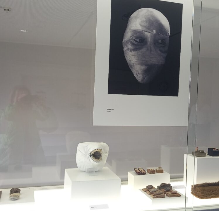 Thomas Neumaiers PräparA(R)TE im Dt. Medizinhistorischen Museum Ingolstadt