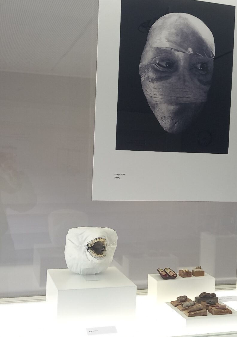 Thomas Neumaiers PräparA(R)TE im Dt. Medizinhistorischen Museum Ingolstadt