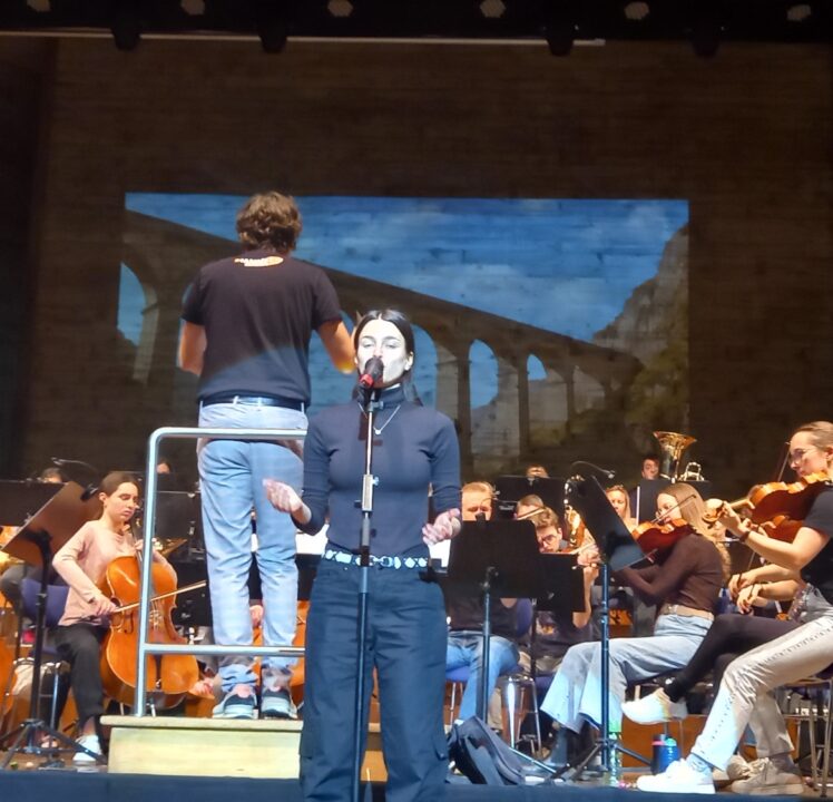 Von Dvorak bis Adele. Ingolstädter Kammerorchester mit Romantic Movie Night