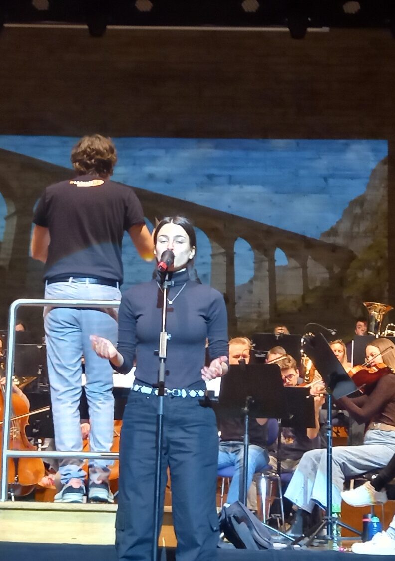 Von Dvorak bis Adele. Ingolstädter Kammerorchester mit Romantic Movie Night