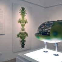 Juramuseum Eichstätt: Sonderausstellung „Photosynthesis – Arts meets science“