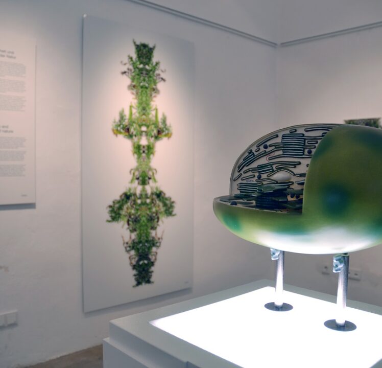 Juramuseum Eichstätt: Sonderausstellung „Photosynthesis – Arts meets science“