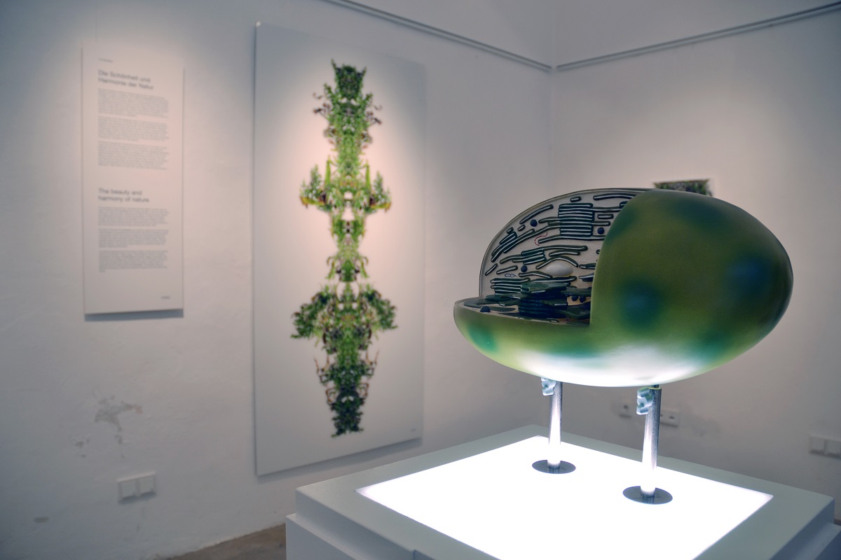 Juramuseum Eichstätt: Sonderausstellung „Photosynthesis – Arts meets science“