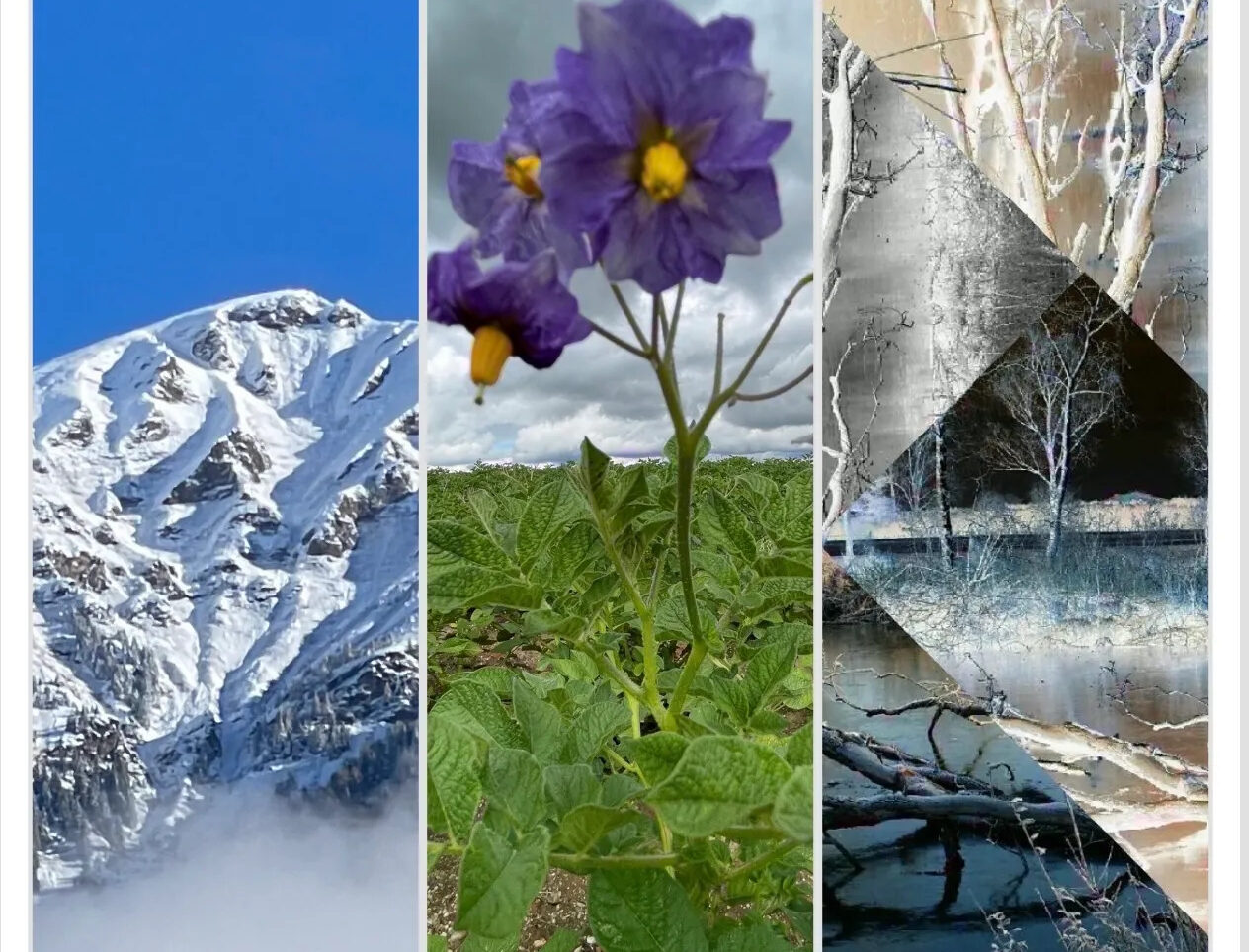 „Heimat finden – Heimat haben“: Fotoausstellung von Angelika Hercher im Bürgerhaus