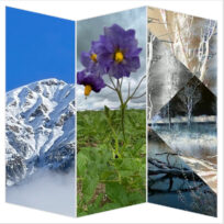 „Heimat finden – Heimat haben“: Fotoausstellung von Angelika Hercher im Bürgerhaus