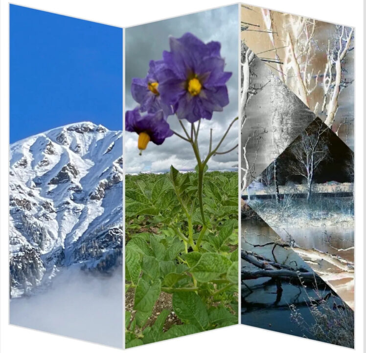 „Heimat finden – Heimat haben“: Fotoausstellung von Angelika Hercher im Bürgerhaus