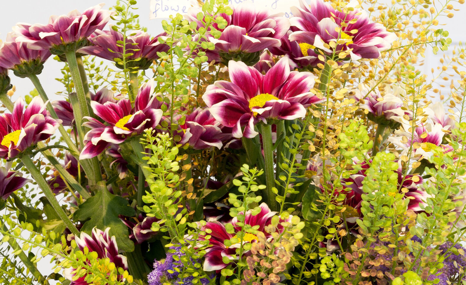 Programm „FEM*Festival 26.2. – 9.3.