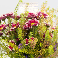 Programm „FEM*Festival 26.2. – 9.3.