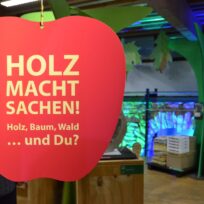 Sonderausstellung zur Vielfältigkeit von Holz im „Haus im Moos“