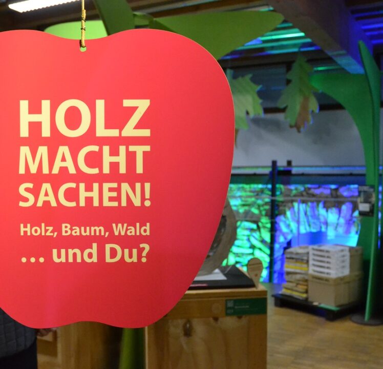 Sonderausstellung zur Vielfältigkeit von Holz im „Haus im Moos“