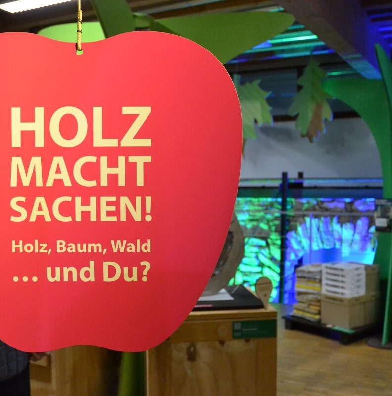 Sonderausstellung zur Vielfältigkeit von Holz im „Haus im Moos“