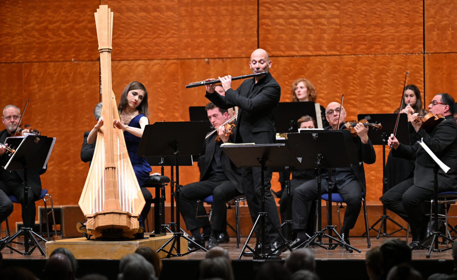 Gespräch mit Harfenistin Anaelle Tourret zum Konzert der Kammerphilharmonie Ingolstadt