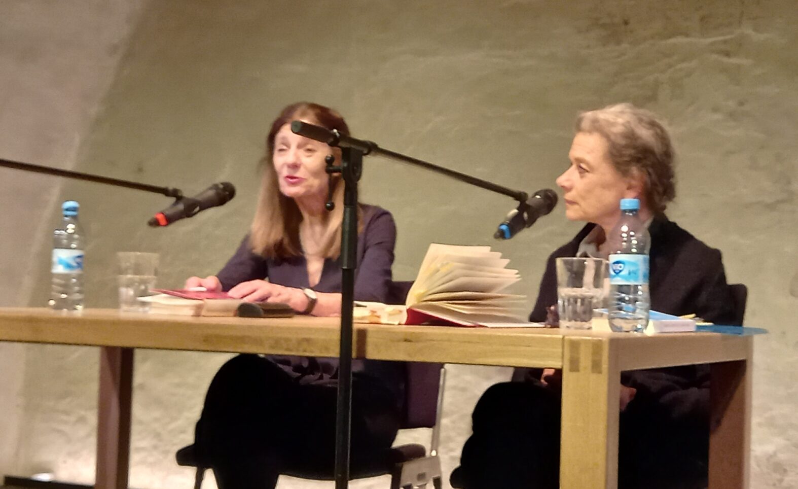 Muttermord und Attentat auf Ministerin – Ursula Krechel war mit ihrem Roman „Sehr geehrte Frau Ministerin“ bei den Literaturtagen