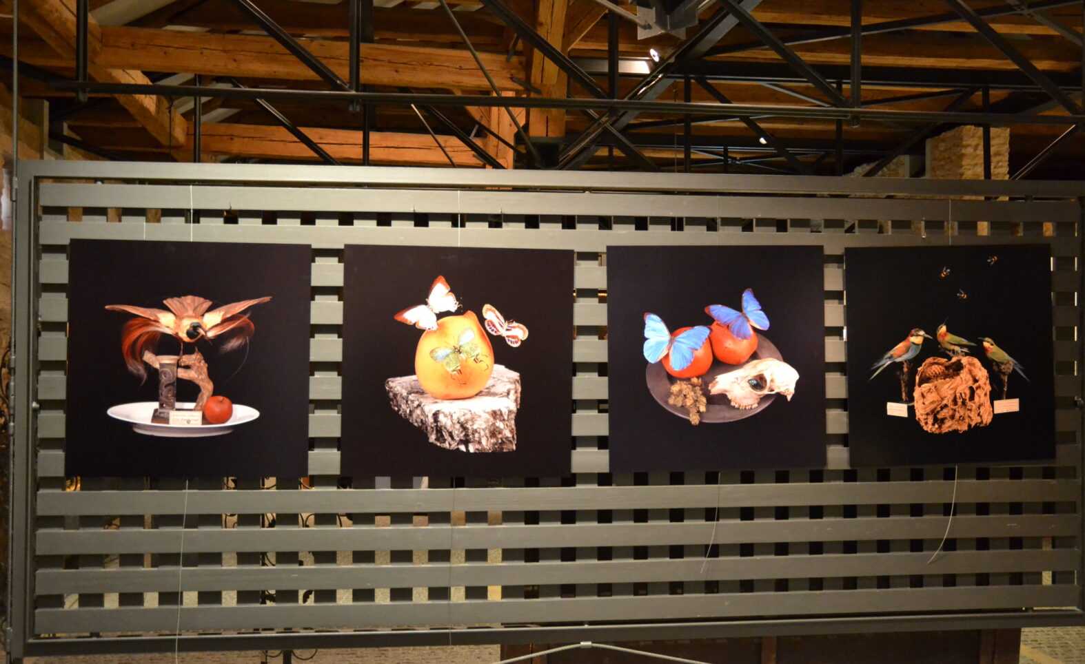 Fotografierte Stillleben: Sonderausstellung „Augenweide“ im Diözesanmuseum Eichstätt