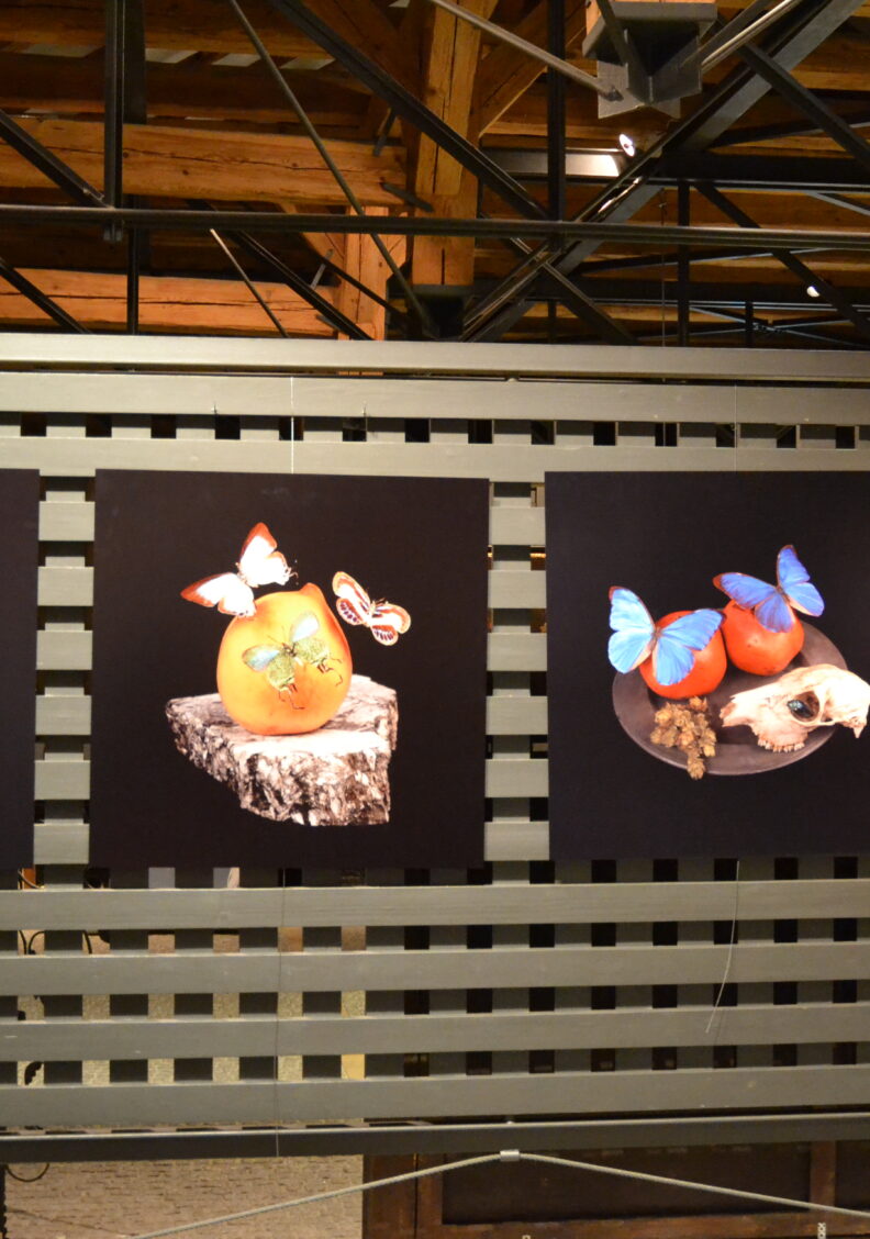 Fotografierte Stillleben: Sonderausstellung „Augenweide“ im Diözesanmuseum Eichstätt