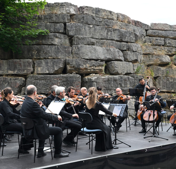 Open Air Konzert der Kammerphilharmonie Ingolstadt am So, 21.6., im Lechner-Skulpturenpark Obereichstätt