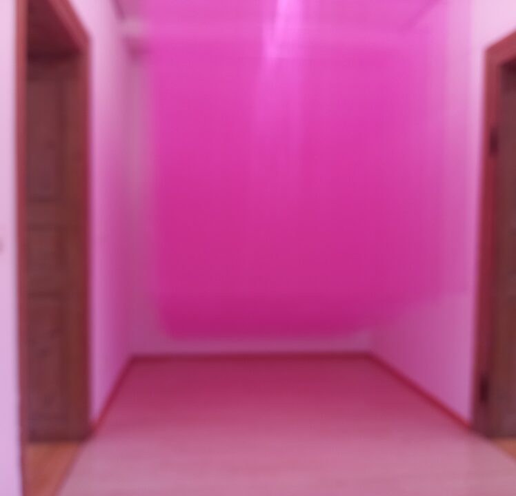 Ausstellung „Farblicht“ von Monika Falke in der Galerie Mariette Haas
